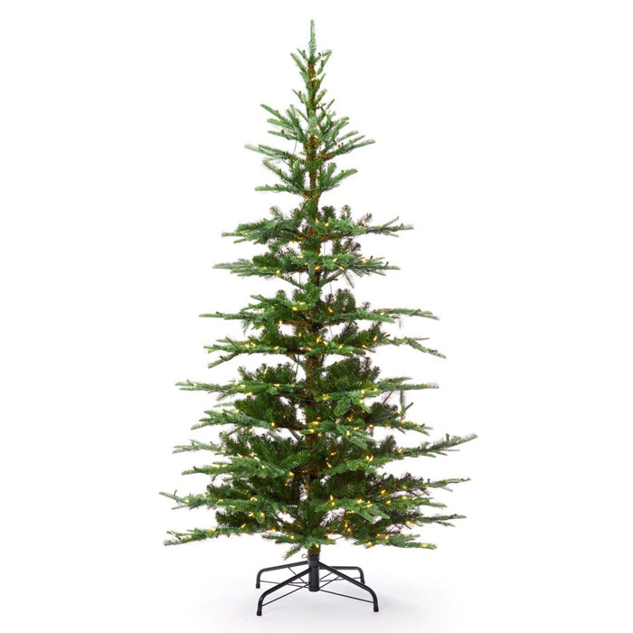 King Of Christmas King Noble 6' Green Fir Artificial Christmas Tree